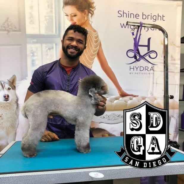 Images San Diego Grooming Academy