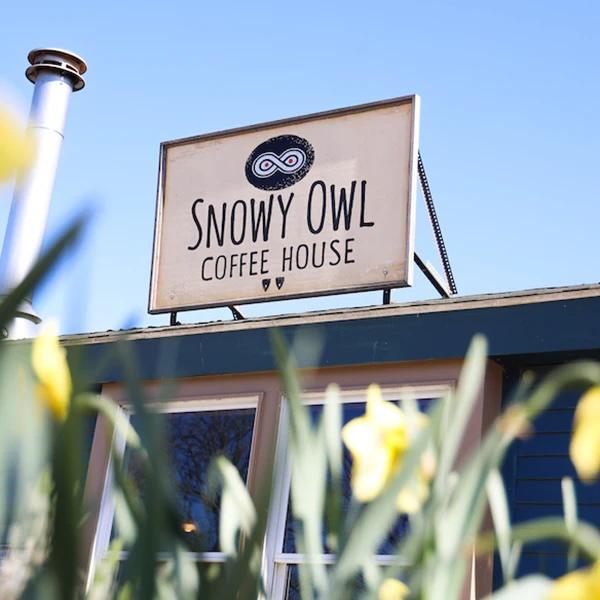 Snowy Owl Coffee House Brewster, MA