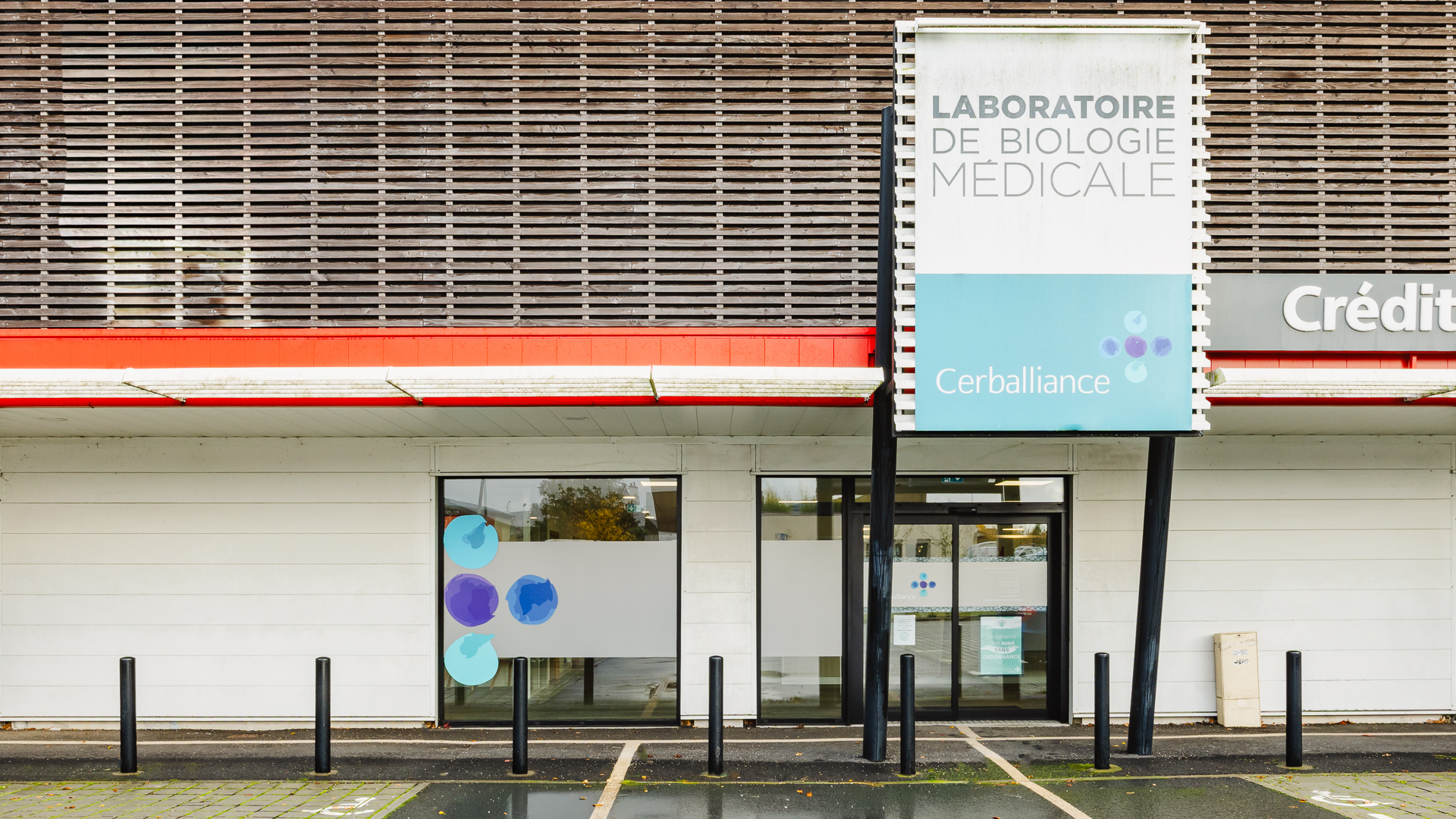 Miniature de la galerie