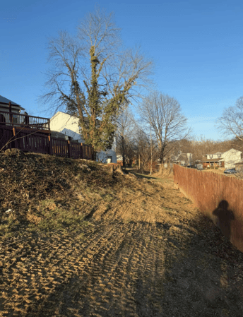 Images Mason Tree Service