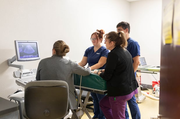 Images VCA Angel Animal Hospital