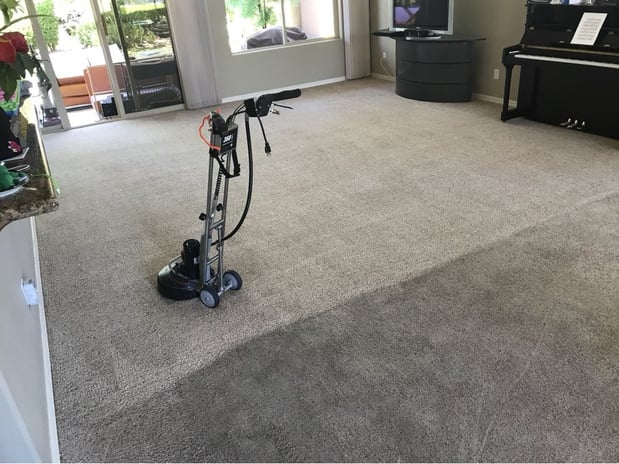 Images Clean It To The Max