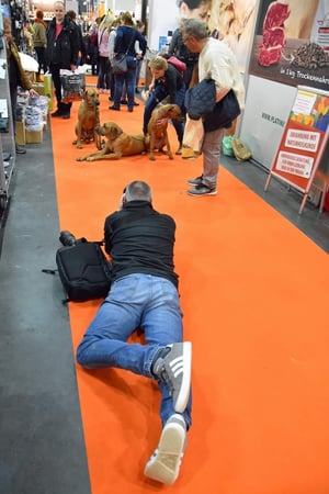 Fotogebell Hundefotografie - Carsten Pöhler Fotograf bei Hundefotoshooting auf Messe, professionelle Tierfotografie Münster. Dokumentation von Hunden in Aktion und natürlicher Interaktion.