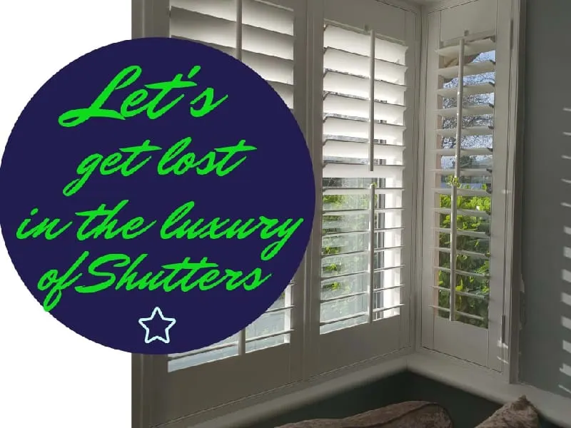 Images The Blind Spot