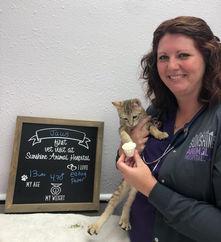 Images Sunshine Animal Hospital