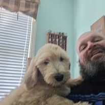 Images Canine Harmony