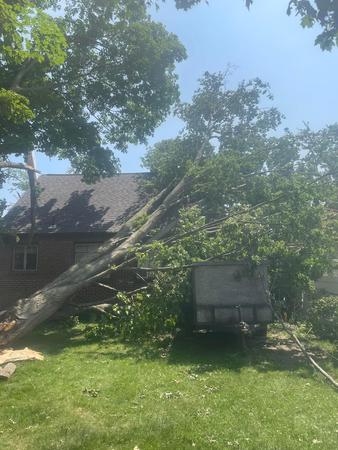 Images Seasonal Property Maintenance