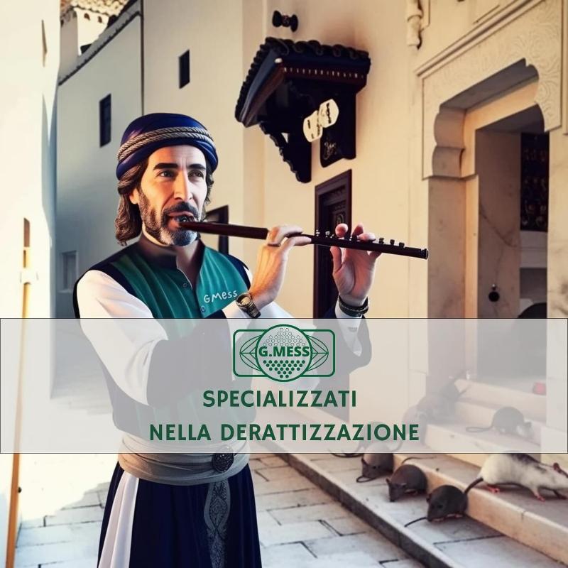 Images G. Mess Impresa di Pulizie e Disinfestazioni