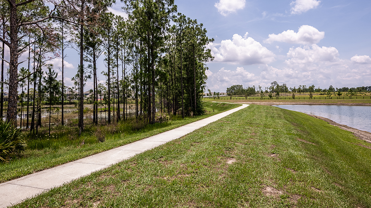 Harvest at Ovation - Taylor Morrison Image