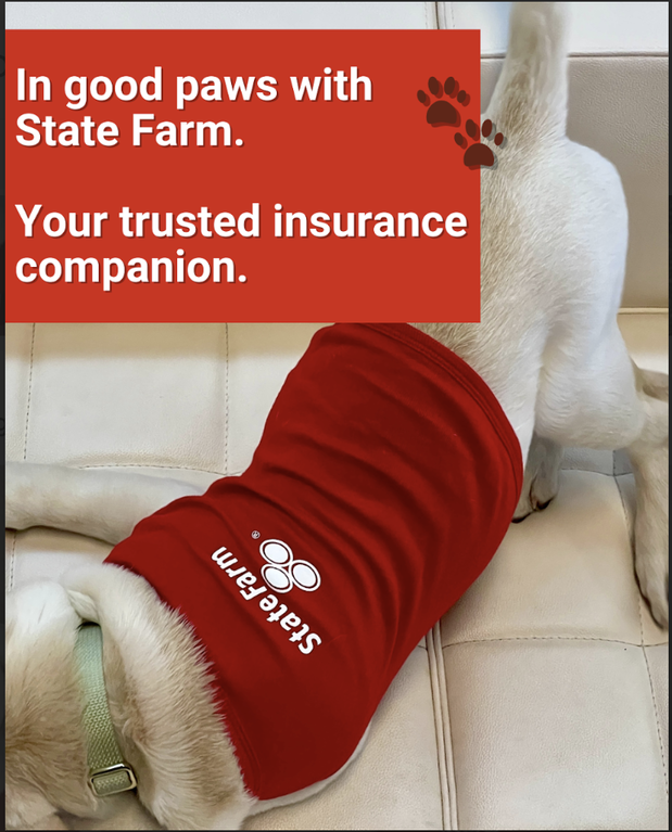 Images Grant Looman - State Farm Insurance Agent