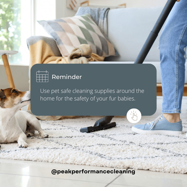 Images Peak Performance Cleaning