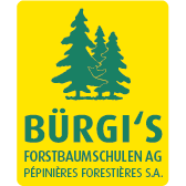 Bürgi's Forstbaumschulen AG Logo