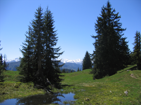 Bild 11 von Schatzberg-Haus Auffach