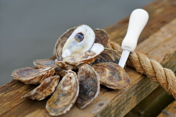 Images Martin Fish Co LLC