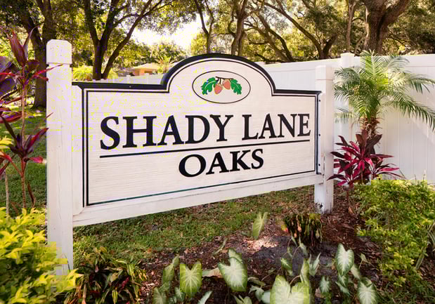 Images Shady Lane Oaks