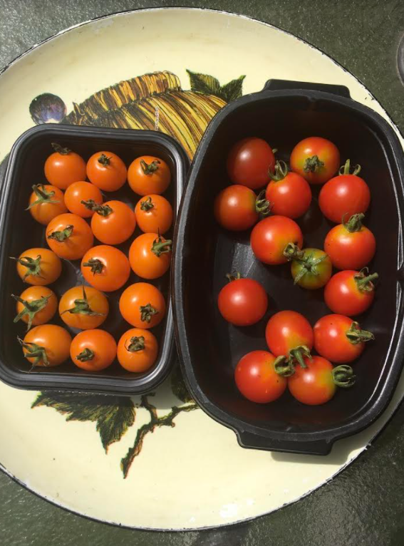 Gorilla Garden Design &amp; Fruit, Inc. Logo