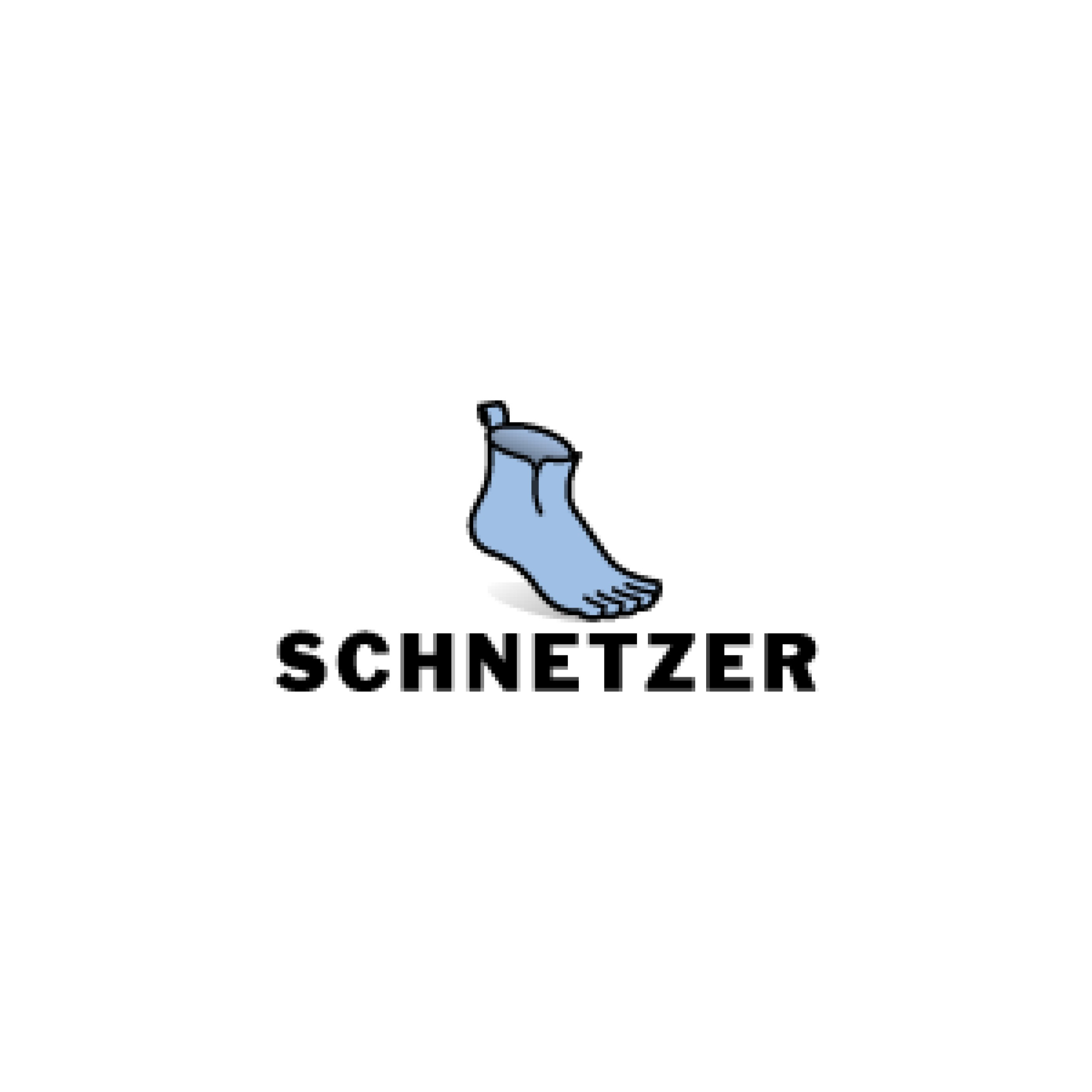 Schnetzer GmbH & Co KG - Schnetzer richtige Schuhe - Logo