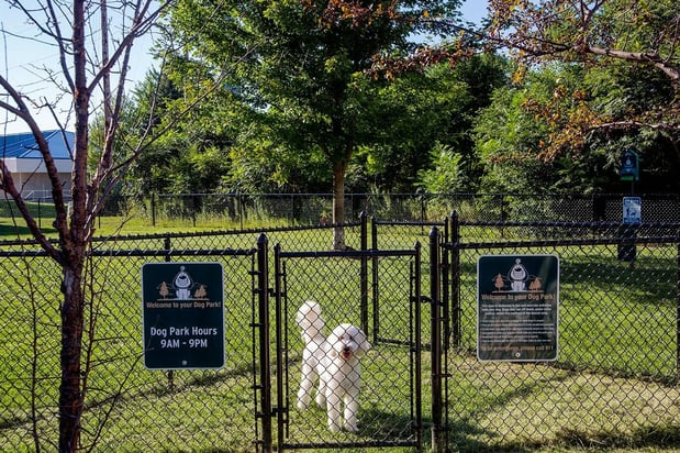 Images Timber View Apartments