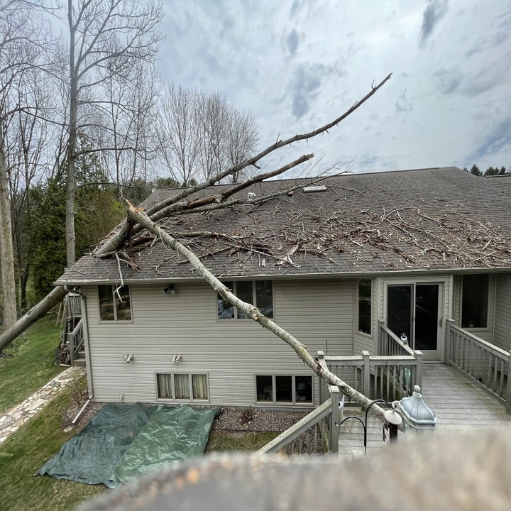 Images Stangel’s Tree Service