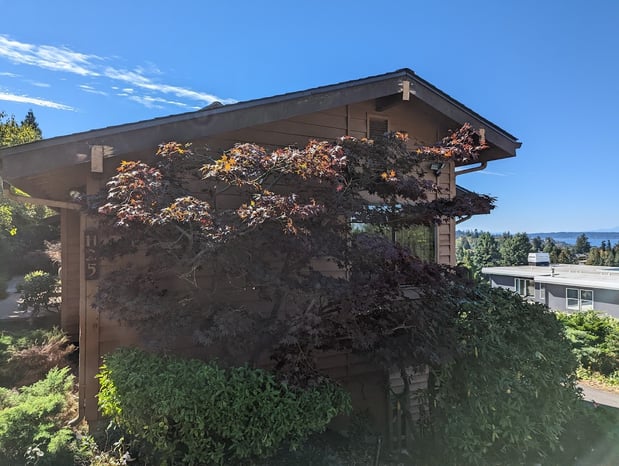 Images Ballinger Landscaping, LLC