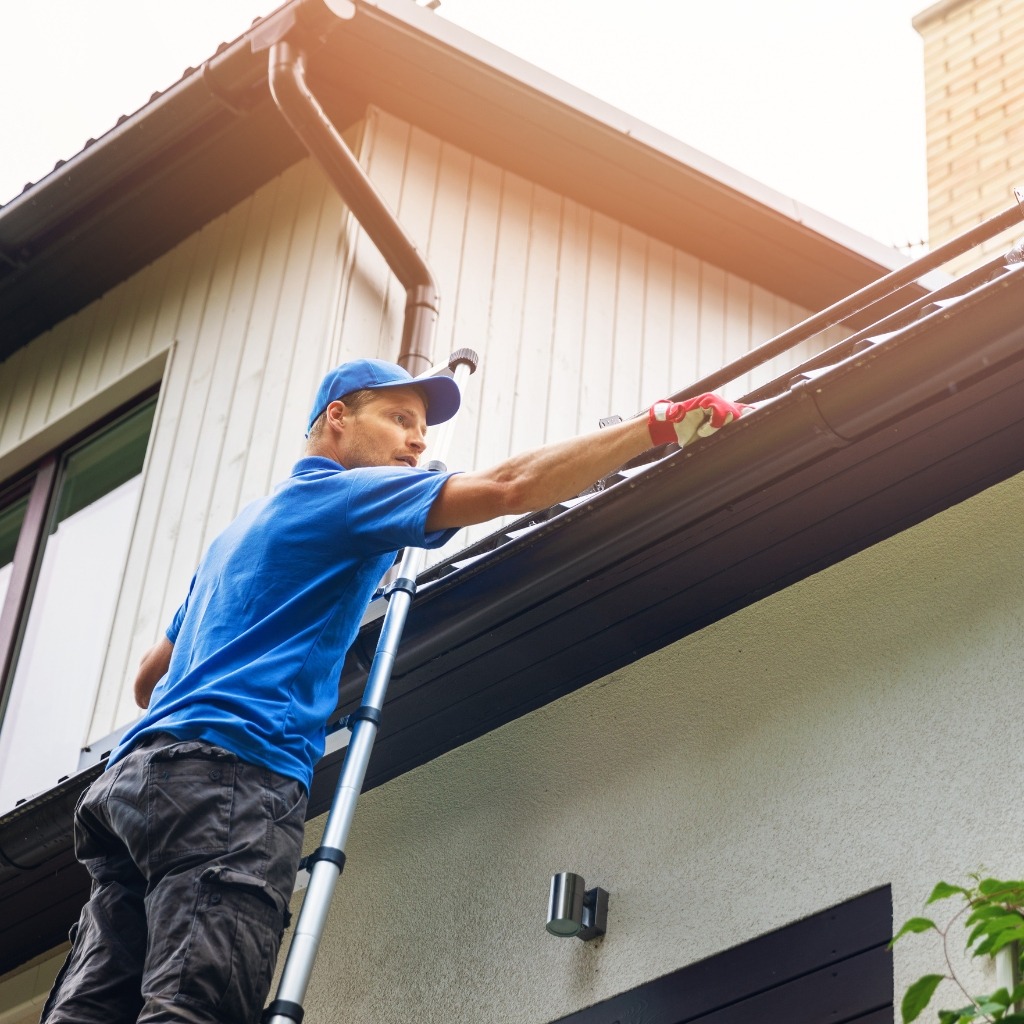 Images Gouttière Bellemare