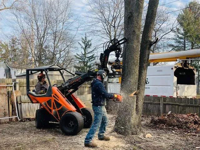 Aubertin Tree Service Image