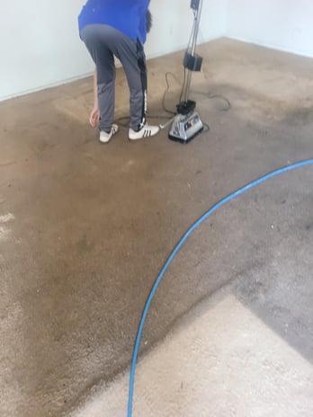 Images BCS Carpet Cleaning