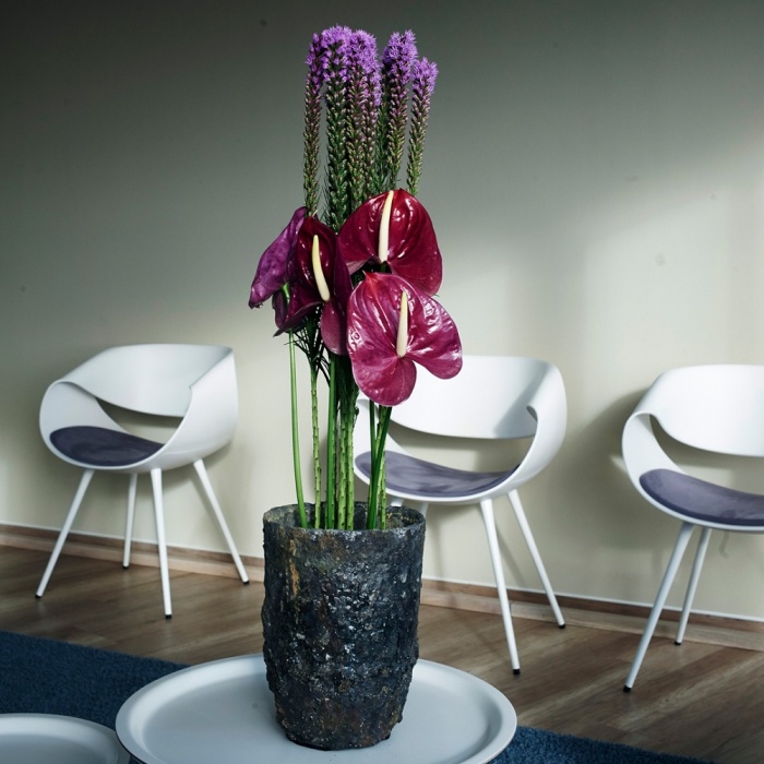 Dr. med. Anja Dawson, Caffamacherreihe 8 in Hamburg