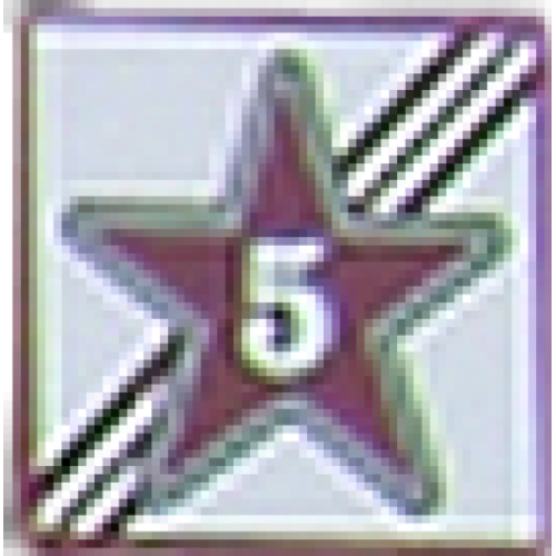 Five Star Storage Company Logo