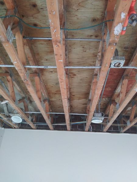 Images Simply Mold Gone