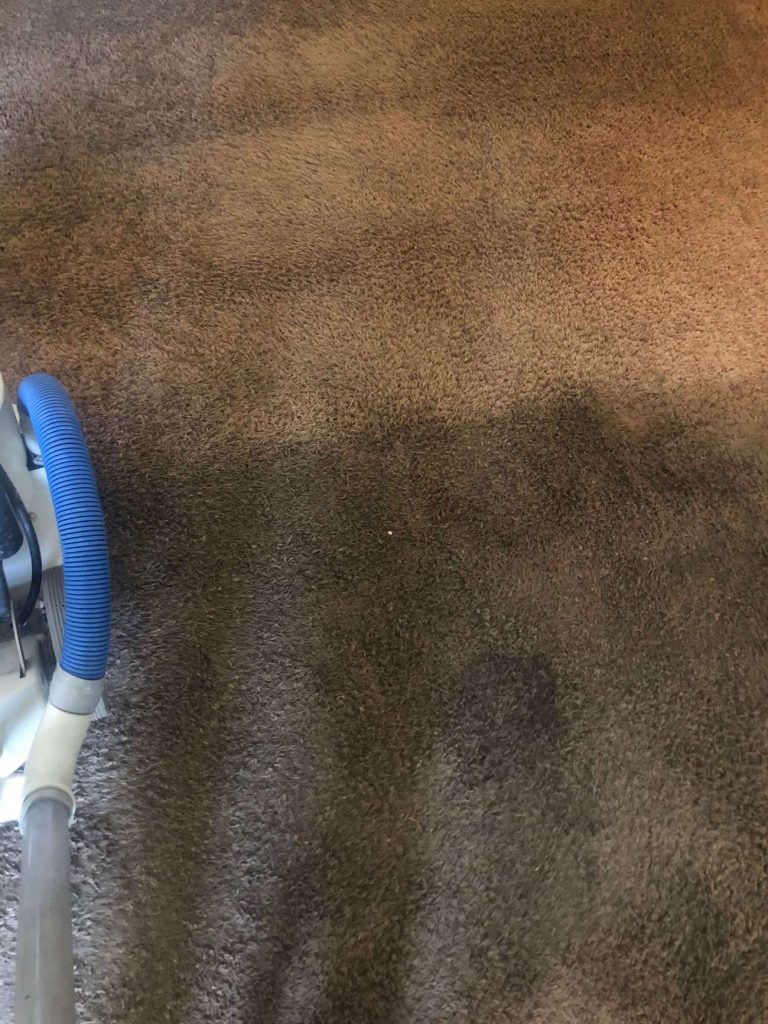 Carpet cleaning in Upland, CA