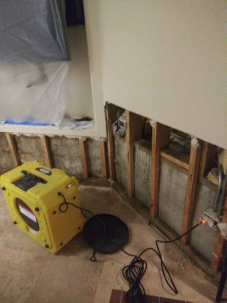 Images Simply Mold Gone