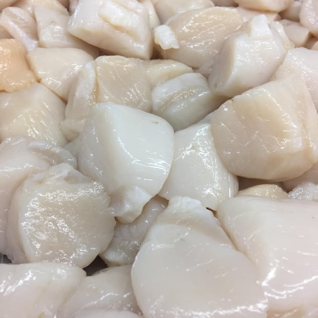 Images Martin Fish Co LLC