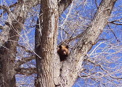 Mogote Meadow Cabins & RV Park Image