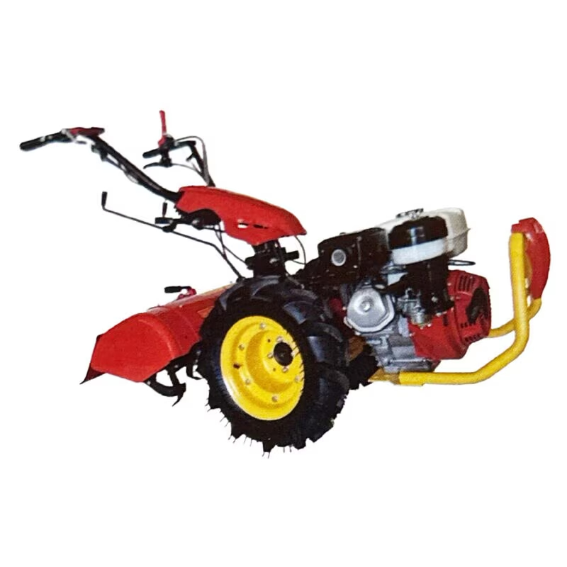 Images Sz Italia By Sicil Zappa