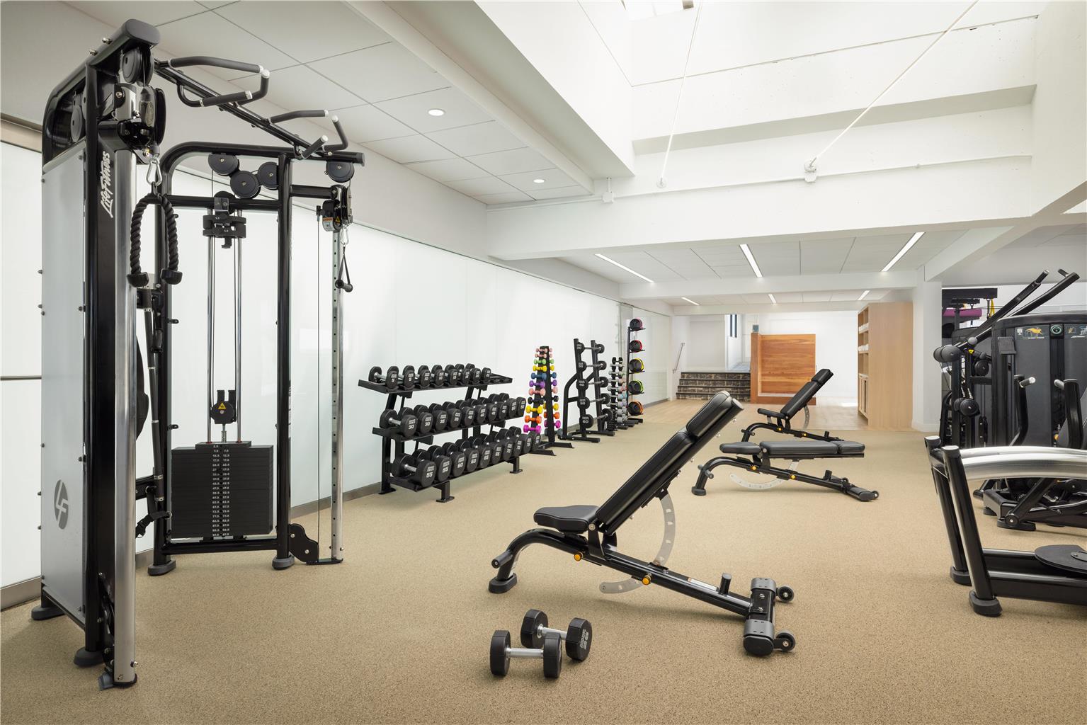 Health club  fitness center  gym 