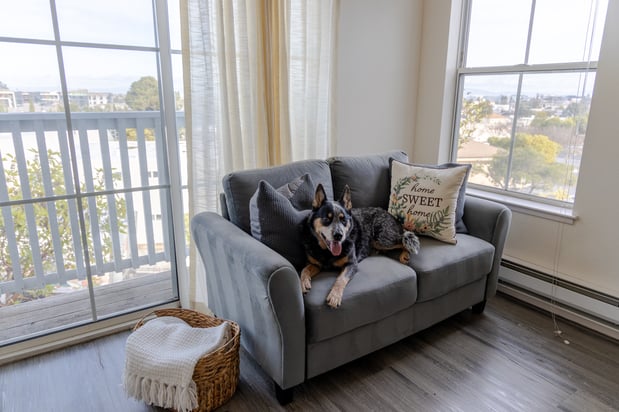 Images Cogir of Belmont