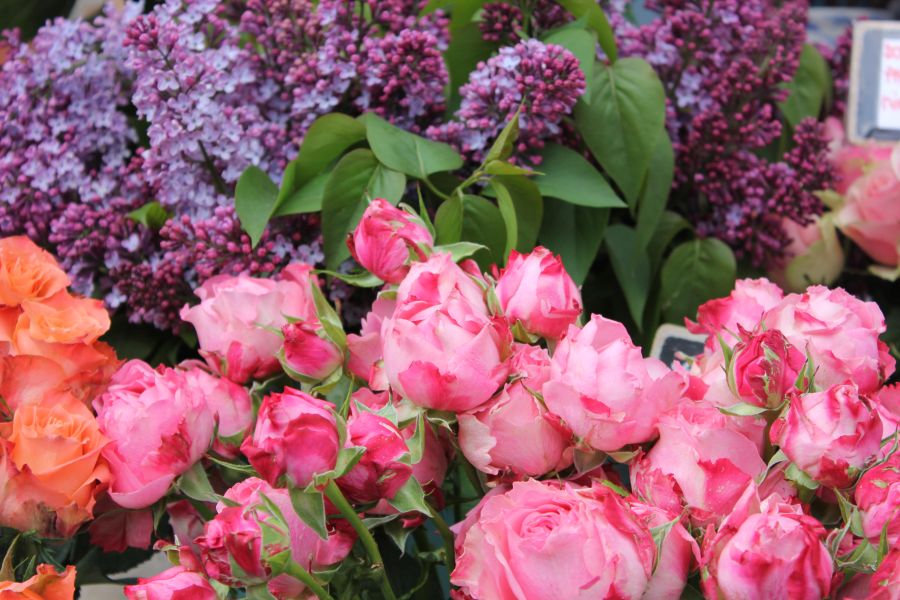 EDEKA Lätsch Ellerau

Floristik
Unsere Floristik-Abteilung ist ein Blumenparadies für alle Naturliebhaber. Hier findest du eine reiche Auswahl an farbenfrohen Sträußen und liebevoll gestalteter Dekoration. Das Besondere: Unsere Sträuße werden auf Wunsch frisch für dich gebunden, damit du immer die blühendste Pracht mit nach Hause nehmen kannst. Egal, ob für besondere Anlässe oder als schmückendes Element für dein Zuhause – unsere Floristik-Abteilung bietet dir eine zauberhafte Auswahl!