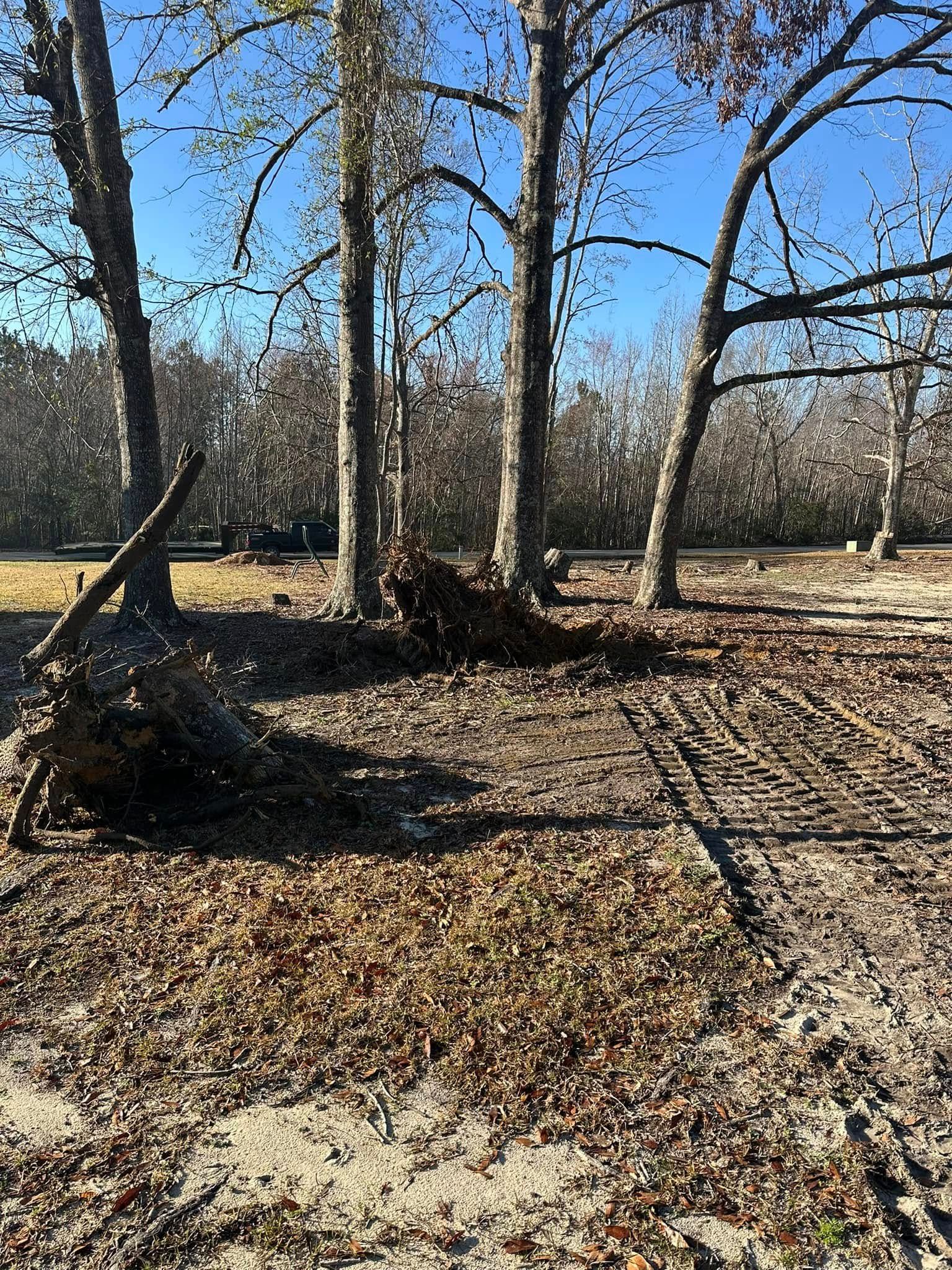 Timber & Teal Land Management Image