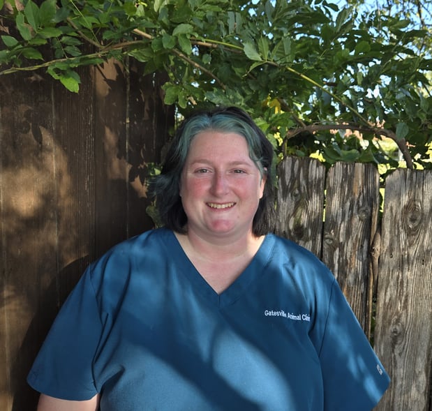 Images Gatesville Animal Clinic, LLC