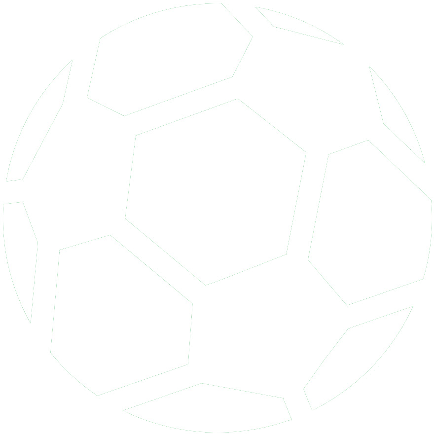Fussball Swiss MEGA Park Logo