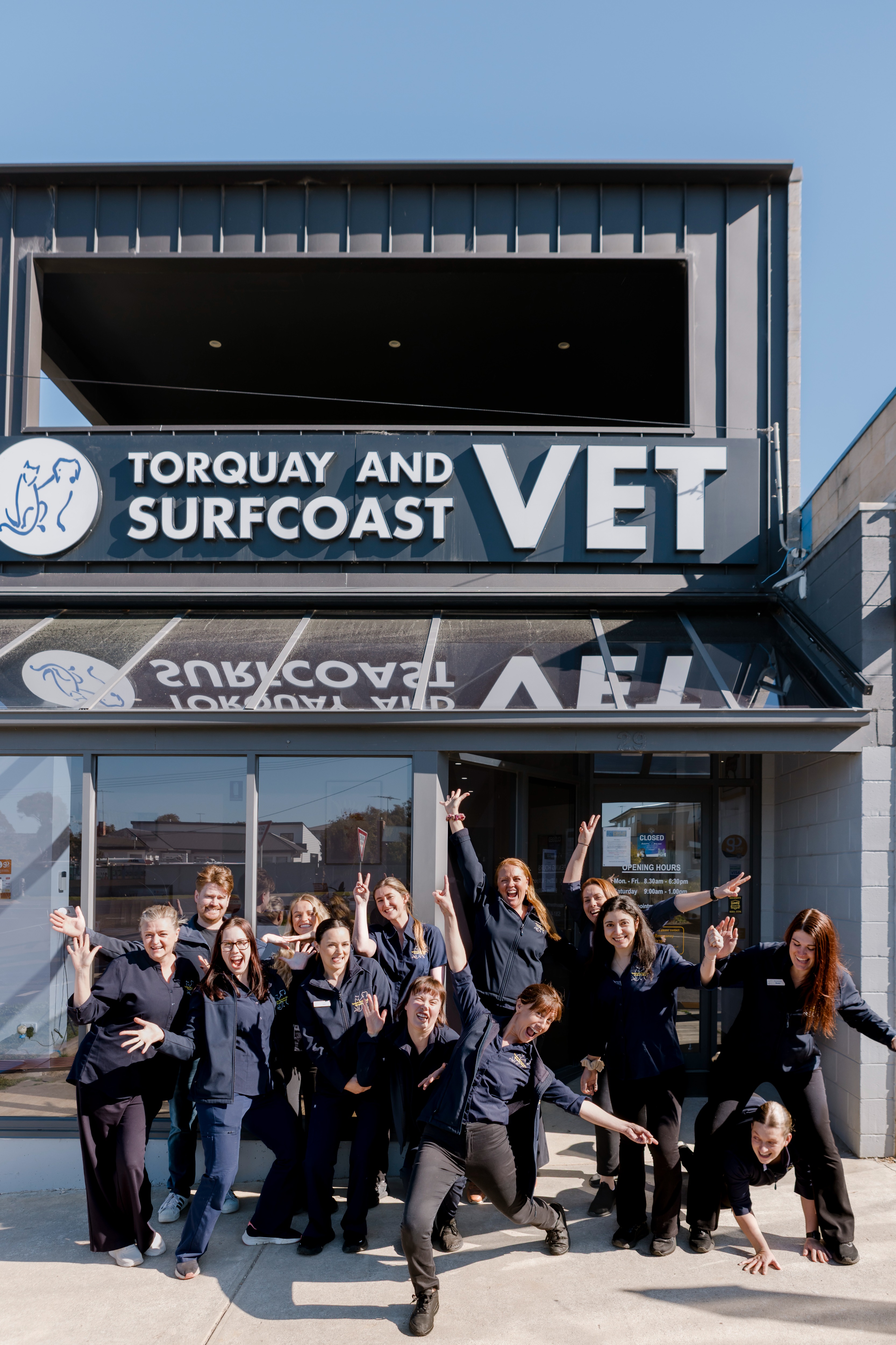 Images Torquay and Surfcoast Veterinary Clinics