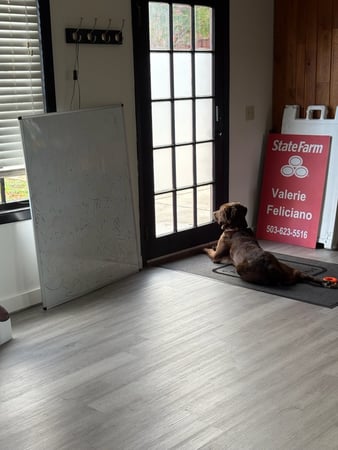 Images Valerie Olsen Feliciano - State Farm Insurance Agent