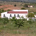 Images Finca Morote