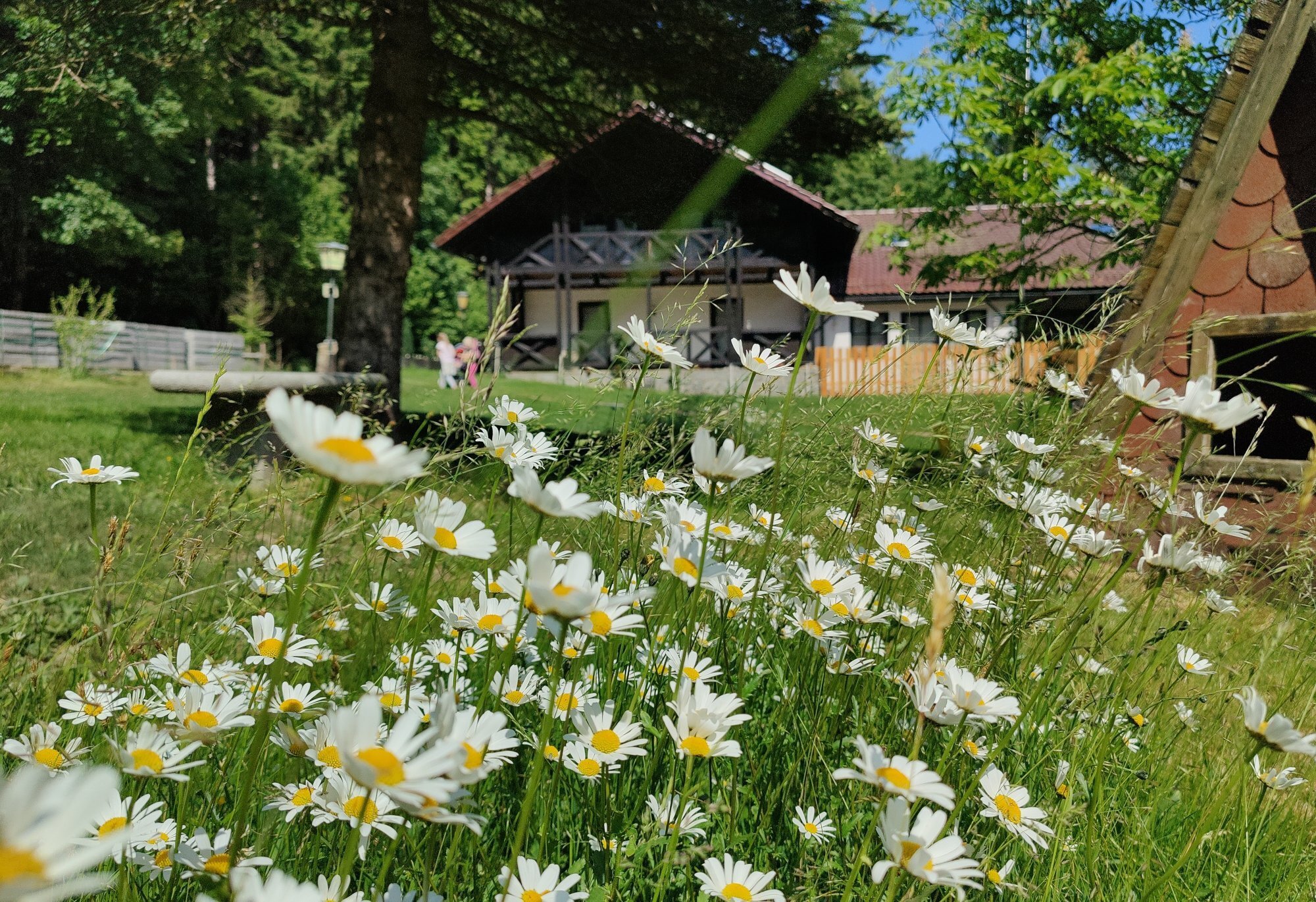 Altes Forsthaus Bodenmais - Michaela Aichler, Böhmhof 7 in Bodenmais