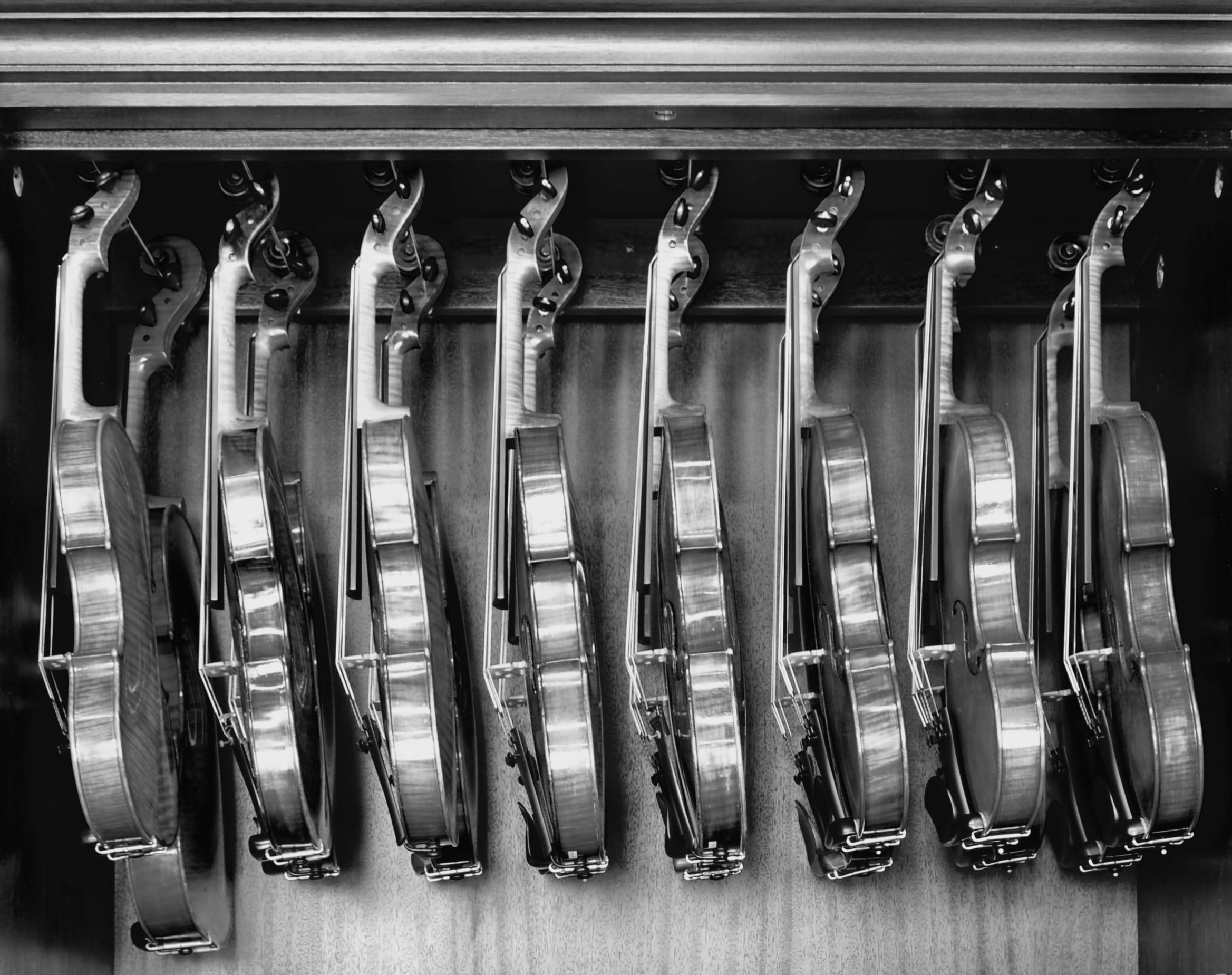 Fotos - Eeckelaert Roland - 4