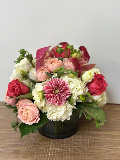 Images Jane's Roses & Flowers