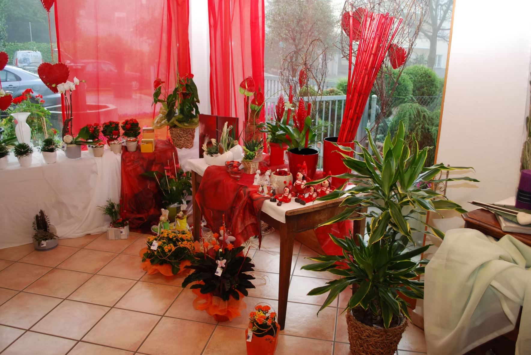 Bilder Bullo Luca Fiori