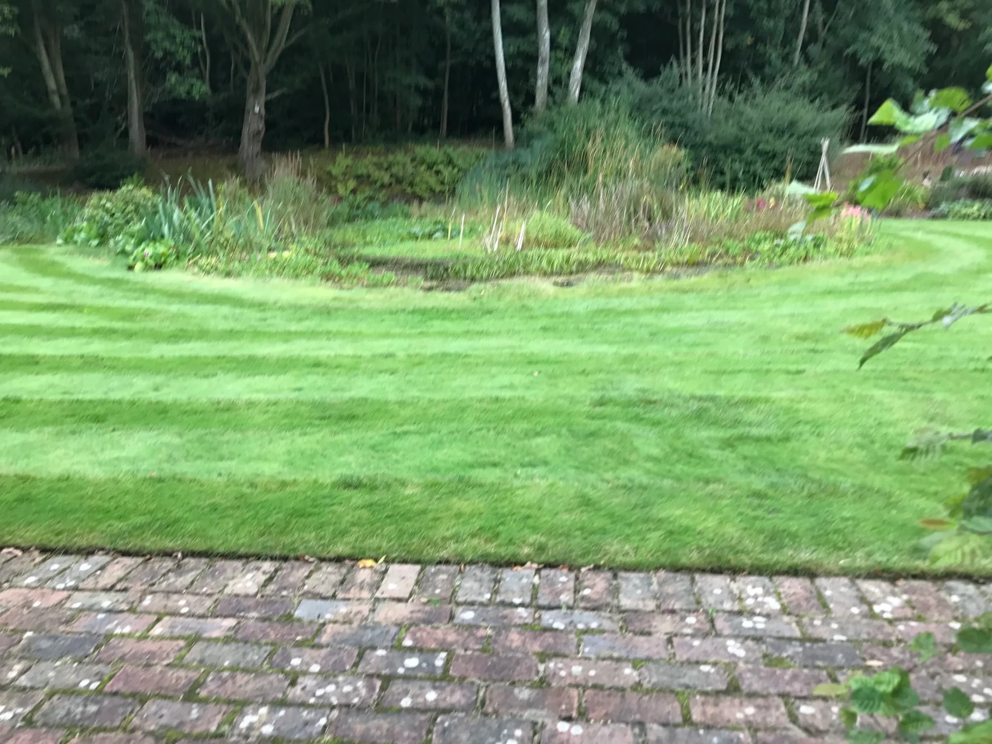 Images Prostyle Gardening & Home Services