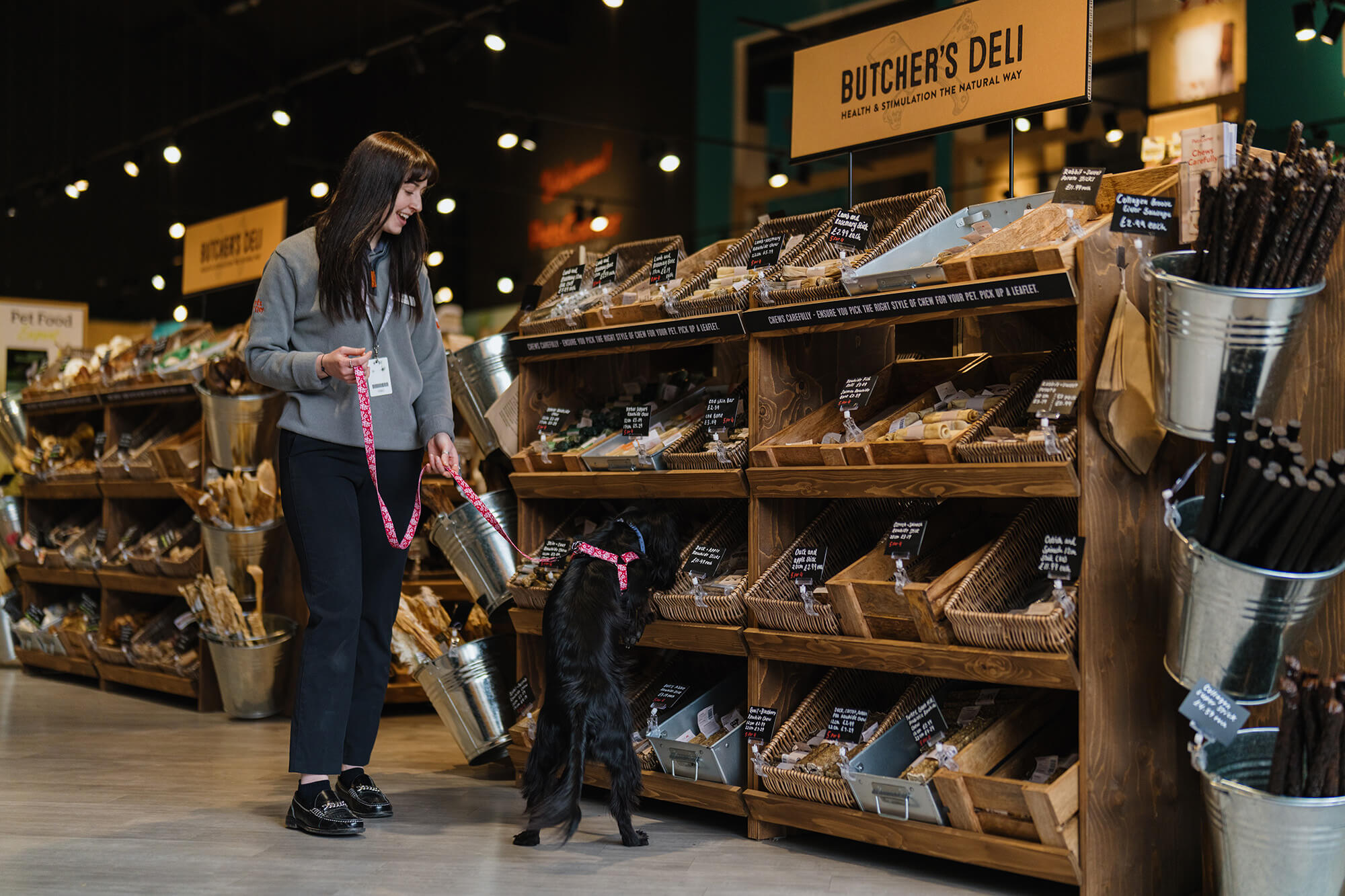 Pets Corner Ascot Interior